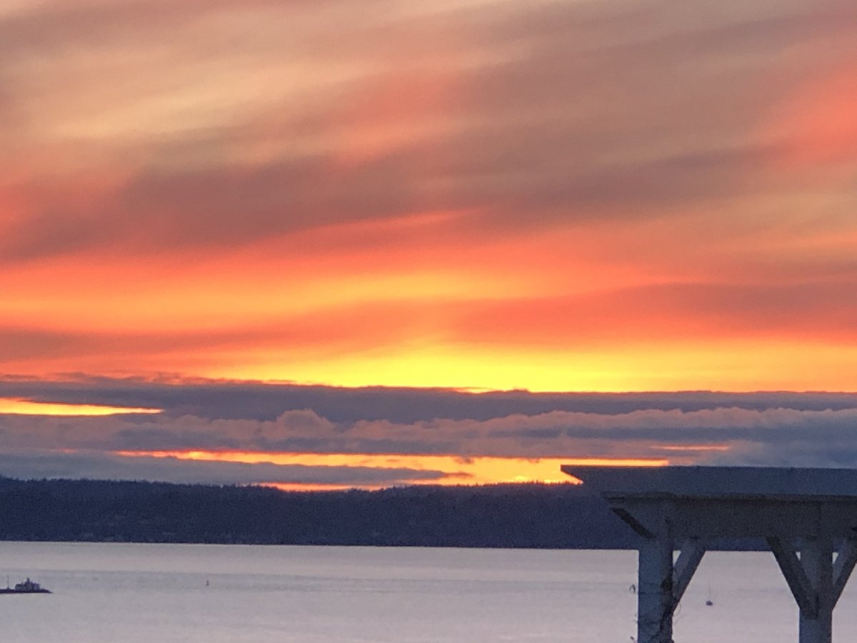 rees_da's tweet image. A fond (and sad) farewell to a wonderful home with amazing views and great neighbours, and an exciting new beginning putting down permanent roots, having new adventures and creating new memories in our home #Ballard #PNW