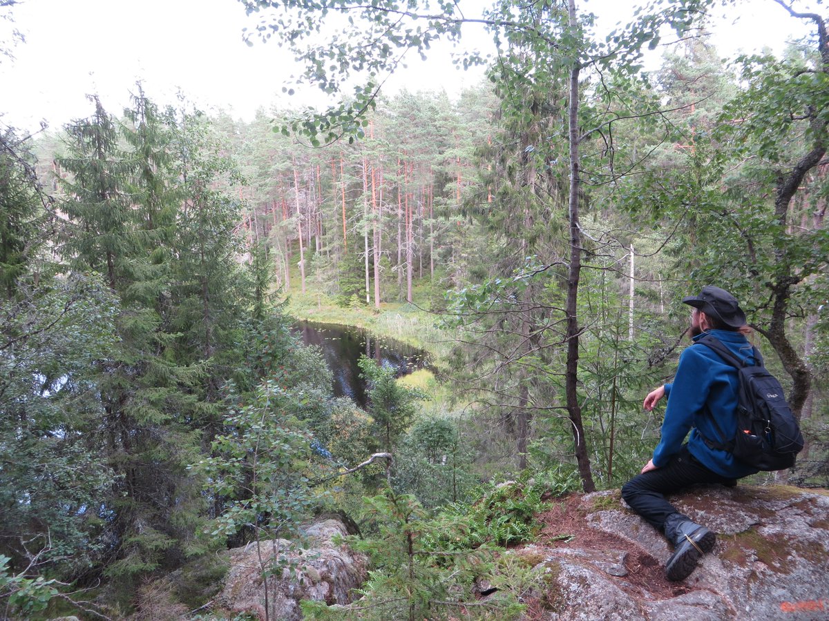 "Die Seele wird vom Pflastertreten krumm.
Mit Bäumen kann man wie mit Brüdern reden
und tauscht bei ihnen seine Seele um.
Die Wälder schweigen. Doch sie sind nicht stumm.
Und wer auch kommen mag, sie trösten jeden."

Erich Kästner
#Waldpädagogik #Erlebnispädagogik #ErichKaestner
