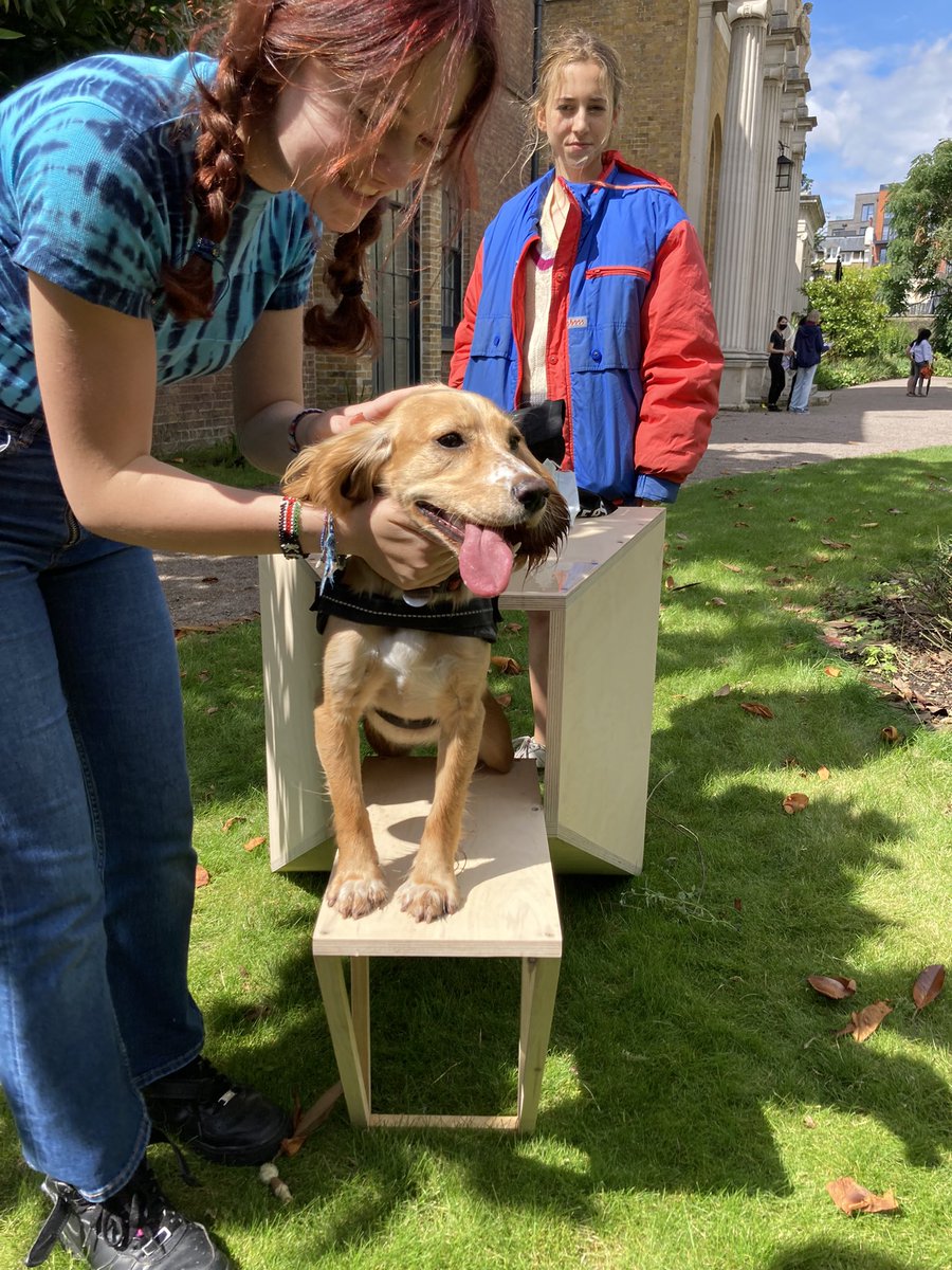 Gough_Clare_J's tweet image. Hippo the Hound just loving #ArchitectureforDogs Roadshow @Pitzhanger today @japanhouseldn