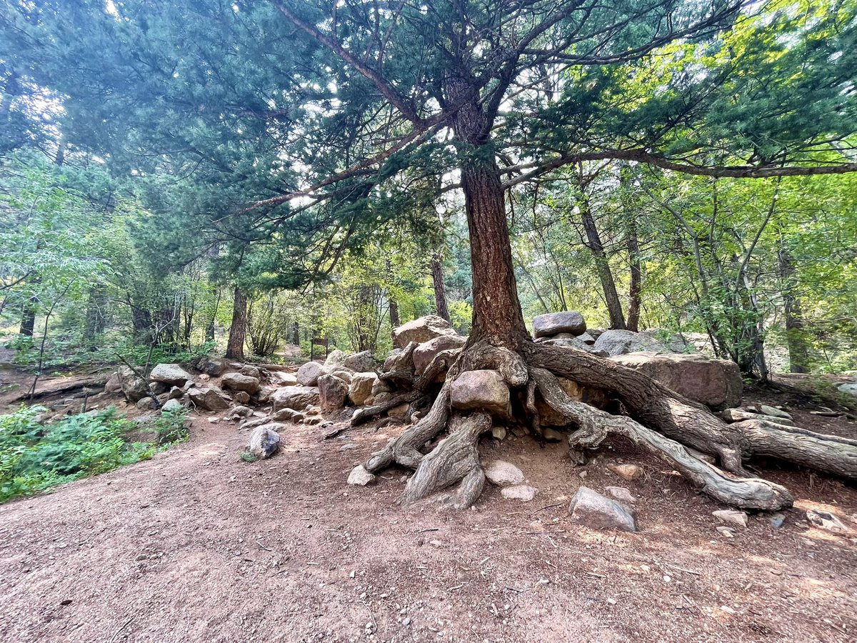 CoganinDC's tweet image. Beautiful and relatively easy trail in North Cheyenne Cañón Park today #getoutside #coloradotrails