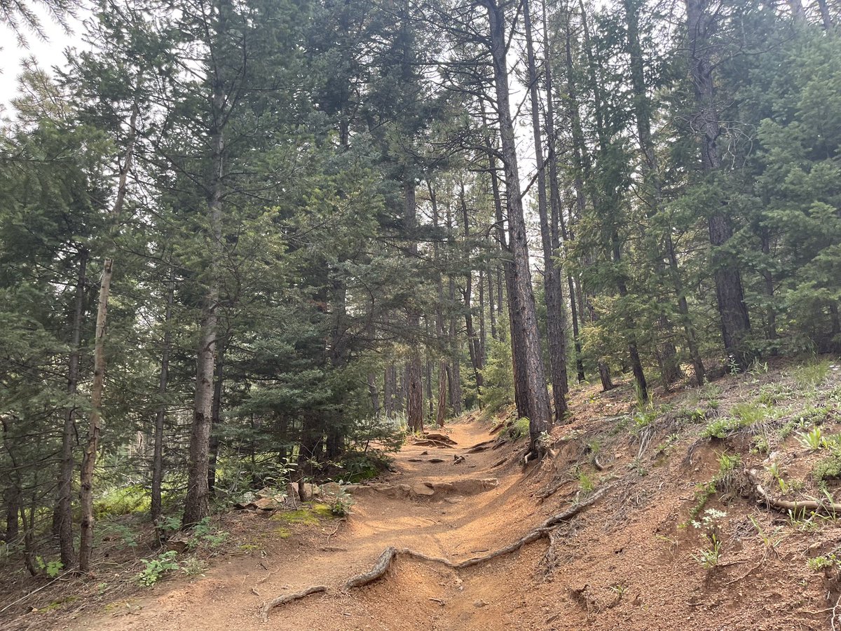 CoganinDC's tweet image. Beautiful and relatively easy trail in North Cheyenne Cañón Park today #getoutside #coloradotrails