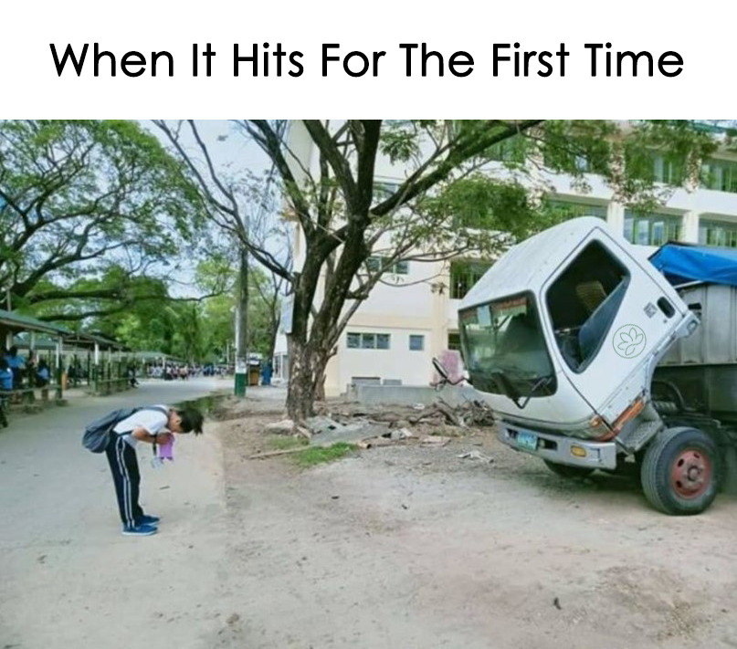 When it hits for the first time. 👀😂🥰
#WeedLover #CannabisCulture #ThatFeeling