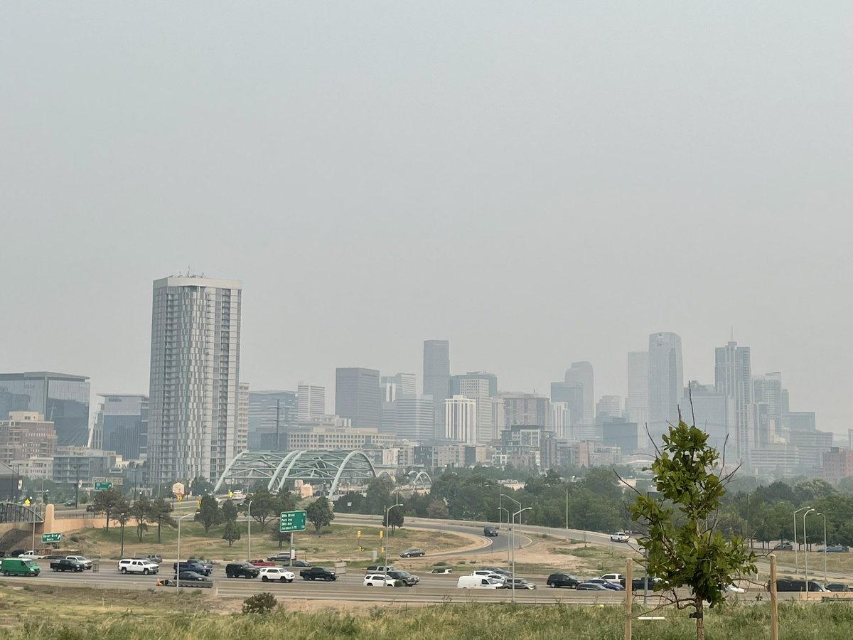 Senadora Julie Gonzales tweet media