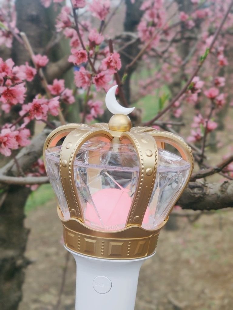 npomvtt's tweet photo. TOP 25 LIGHTSTICKS MAIS LINDOS | #TopLightstickNP

03º - LOONA (4566) https://t.co/a4eidfiqDa