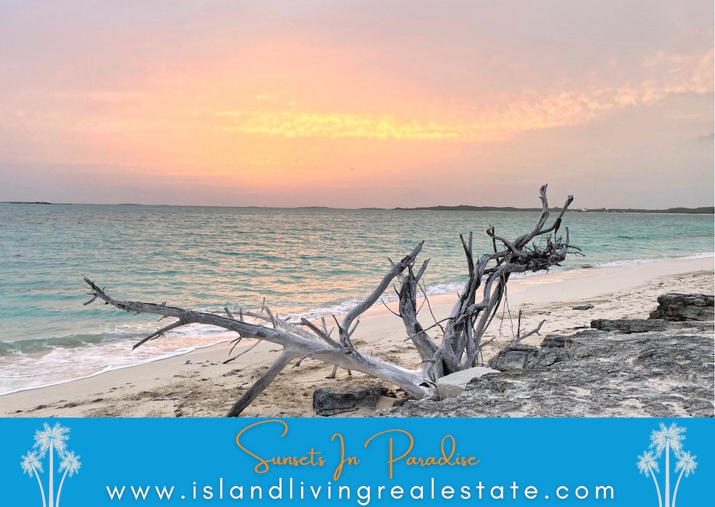 If unique island living is what you're searching for our agents are happy to help.

Visit: islandlivingrealestate.com

#IslandLiving  #IslandLivingRealEstate #ChasingSunsets #BahamasRealEstate  #TheBahamas #ItsBetterInTheBahamas #ExumaBahamas #BahamaBlues #Nature  #MyIslandsInTheSun