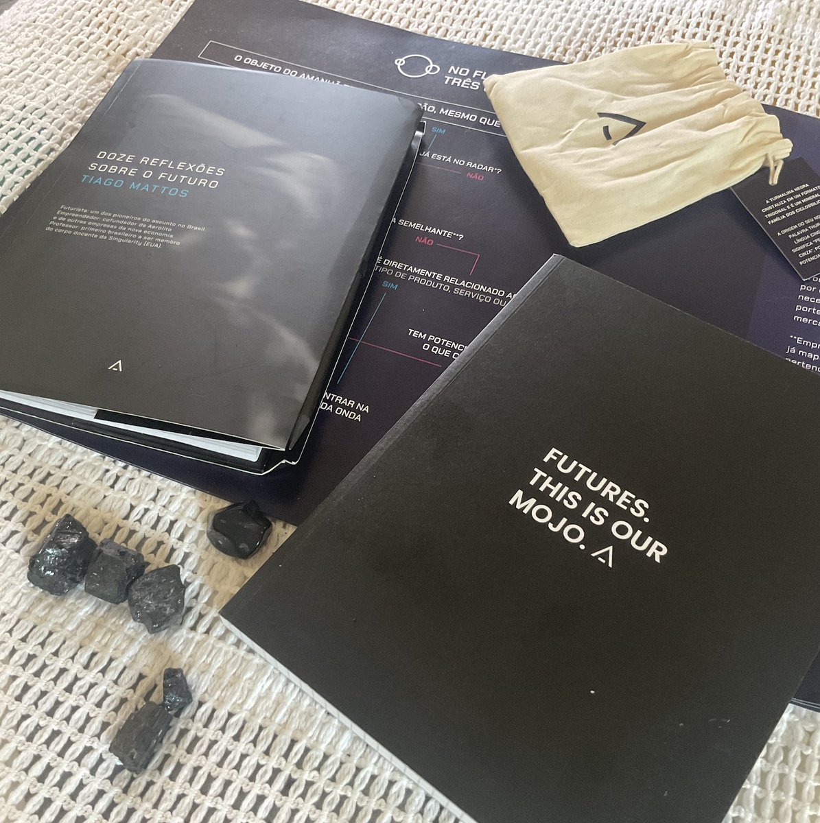 krysteleal's tweet photo. Let's get to work now that vacation is over! I'm working on my first futures studies research for my certification with @aaerolito and I'll start a mentorship with @_tiagomattos_ 🚀 https://t.co/wJj1VaBVCP