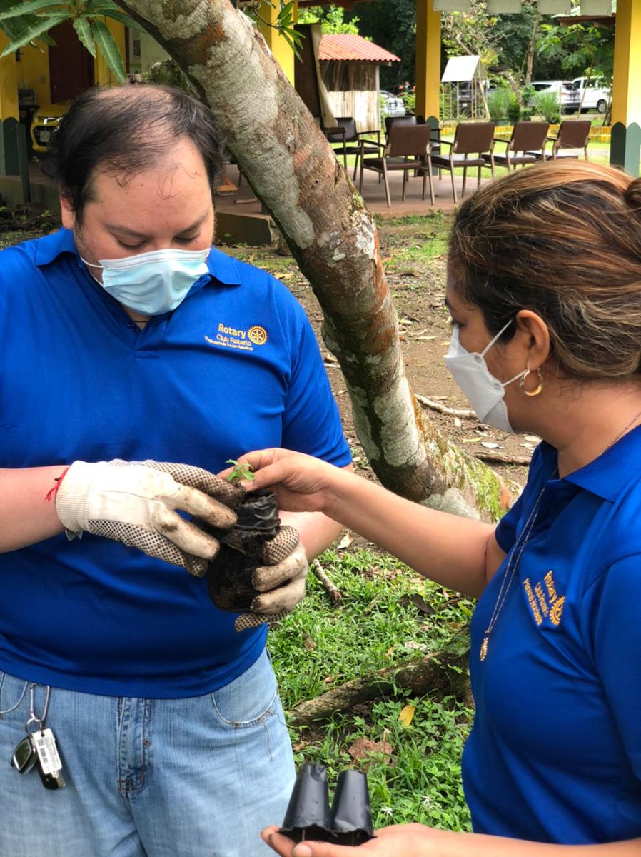 EdanelaUrrutiaS's tweet photo. Desde muy temprano hoy trabajando en proyecto de reforestación y seguimiento de plantones en Parque Camino de Cruces. Clubes Rotario y Rotaract NORDESTE. #WeAreRotary #rotaryyolimpio #yolimpio #rotaryinternatioal #rotatynordeste #somosnordeste #Robles #Guayacanes #medioambiente https://t.co/E5nsUwqVnT