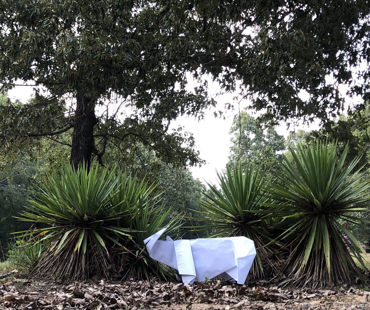 cloudcapture7's tweet image. Use and support sustainable wood, paper and palm oil, and don’t buy products made from rhino horn. #GISH #savetherhino