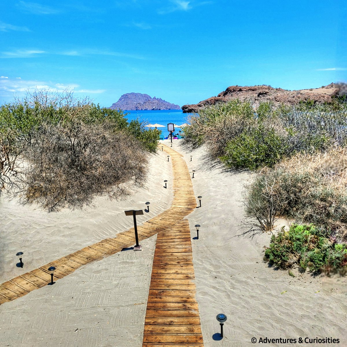 AdventuresCuri1's tweet photo. All roads lead to the beach🏖

#adventuresandcuriosities #placetobe #wanderlusting #adventureculture #wondermore #hellofrom #traveling #roamtheplanet #wheretonext #adventureawaits #stayandwander #amazingplaces #mexico #loreto @villadelpalmarl @villagroupresorts @loretobcstourism https://t.co/4PS4q38sZS