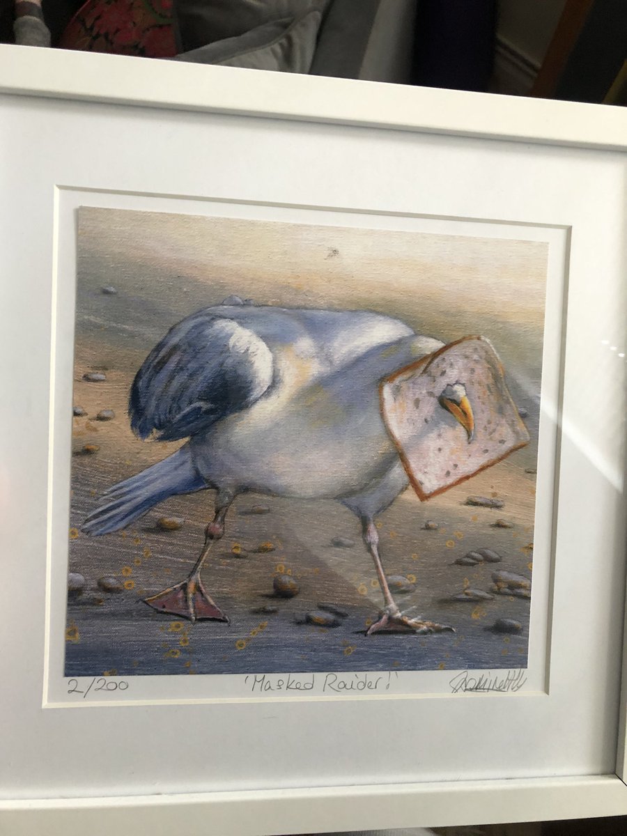 #ART SEAGULL BANDIT #BRIGHTON @TREEFROGILLUSTRATION #BREADWINNER #LOAF #farmhouse #HERRINGGULL #SEA #birds