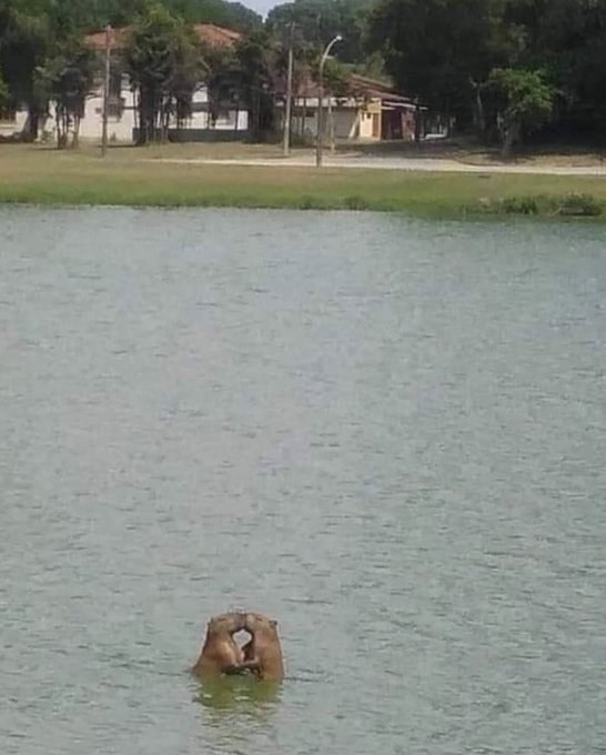 Me and my bro after 2 Trulys and a shot of Patron https://t.co/ygwyVAwAOX