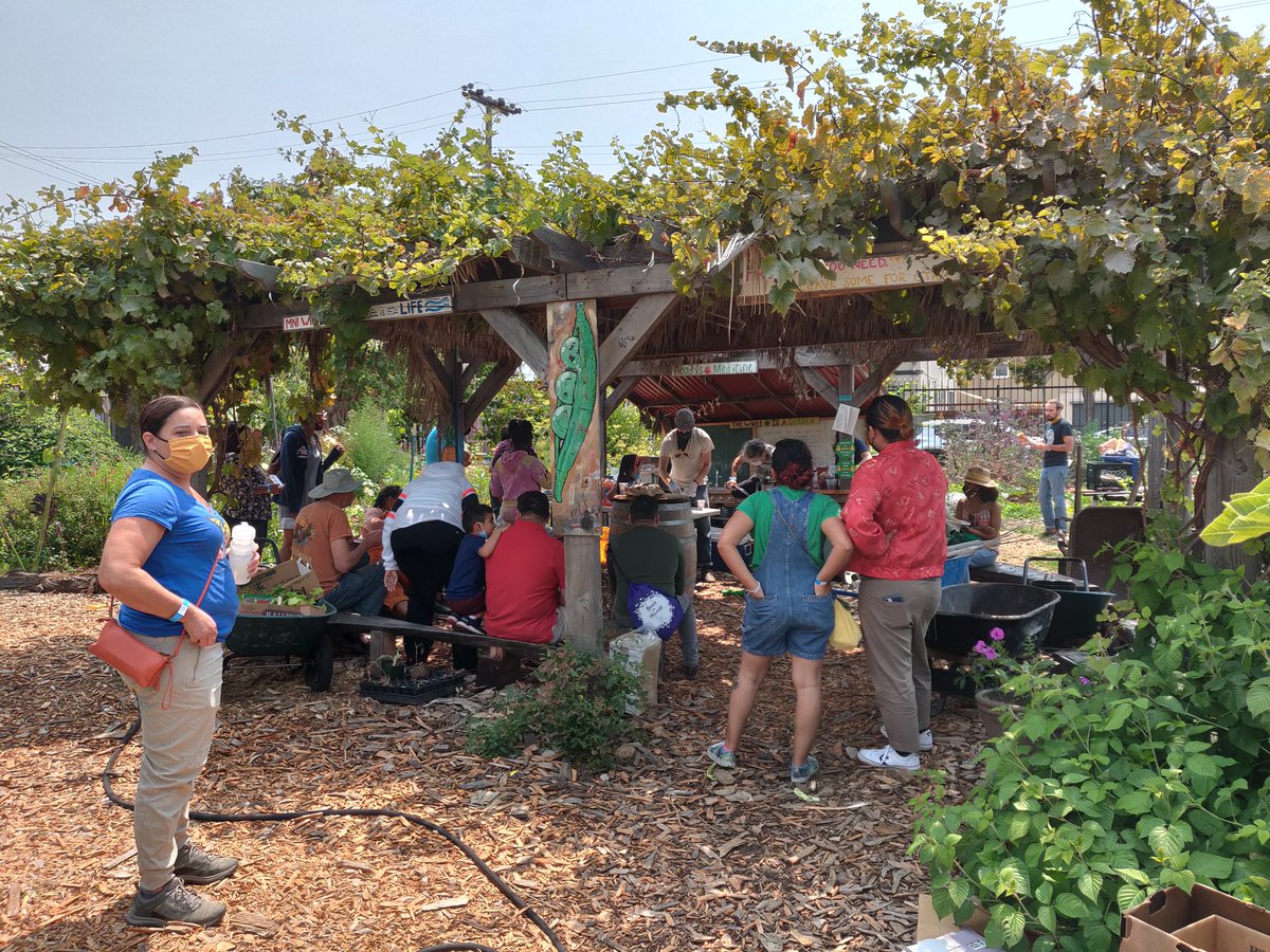 ParentsUniteOak's tweet photo. Beautiful day in the Hoover garden, making smoothies with people power! #oakedu #communityschoolswork https://t.co/8Isk0c0c1I