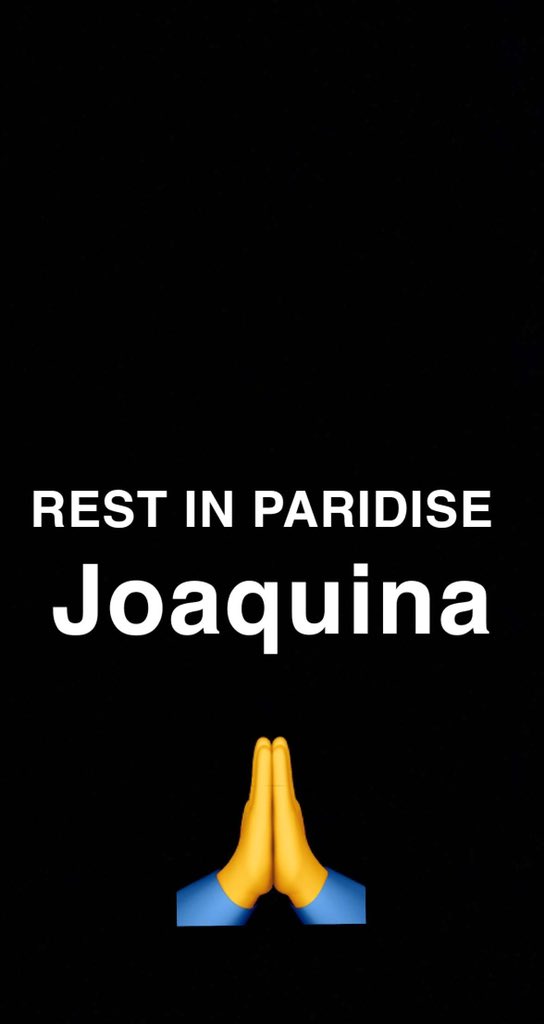 MY LOVE WILL NEVER CHANGE