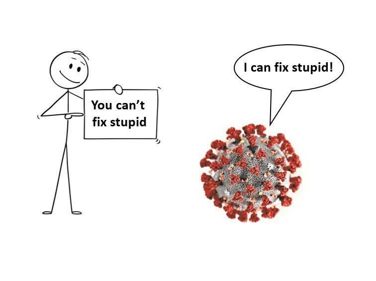 E8OkBQsXEAAKVdp?format=jpg&name=900x900