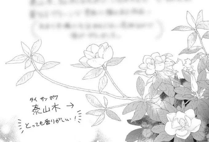 おはようございます☀更新日です!
11話のお花解説のいけばなばなしが公開されました。補足写真は単行本には収録されずパルシィだけなのでぜひ☺️
12話のコイン公開もはじまりました。
3巻は週明け8/12発売🌸

「花とくちづけ」 #パルシィ #花とくちづけ #七都サマコ https://t.co/r85O8lJ3Ni 