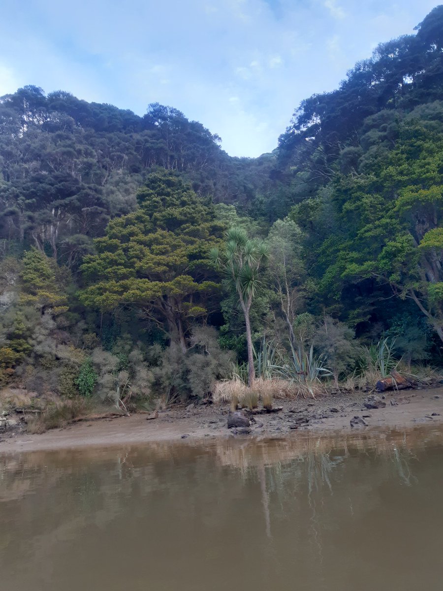 ppgardne's tweet photo. Tranquil but very cold (3.5°C) water temperatures this morning.  I half expected to see icebergs. #Henley #Taieri https://t.co/52ad56s0pz