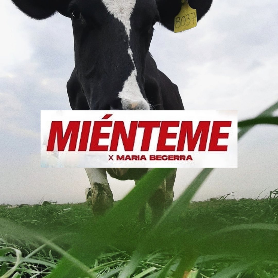 AteneoSRA's tweet photo. DALE, MIÉNTEME 🎵. Cuando las redes sociales están al servicio de la ignorancia, es fácil esparcir mitos falsos y que los repitan millones. ‼️

Te contamos por qué María Becerra nos miente 👇 https://t.co/n1REoIYRtM