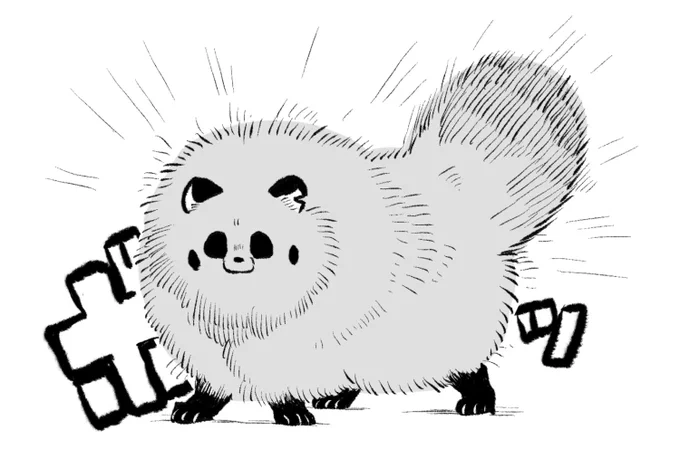 ボ 