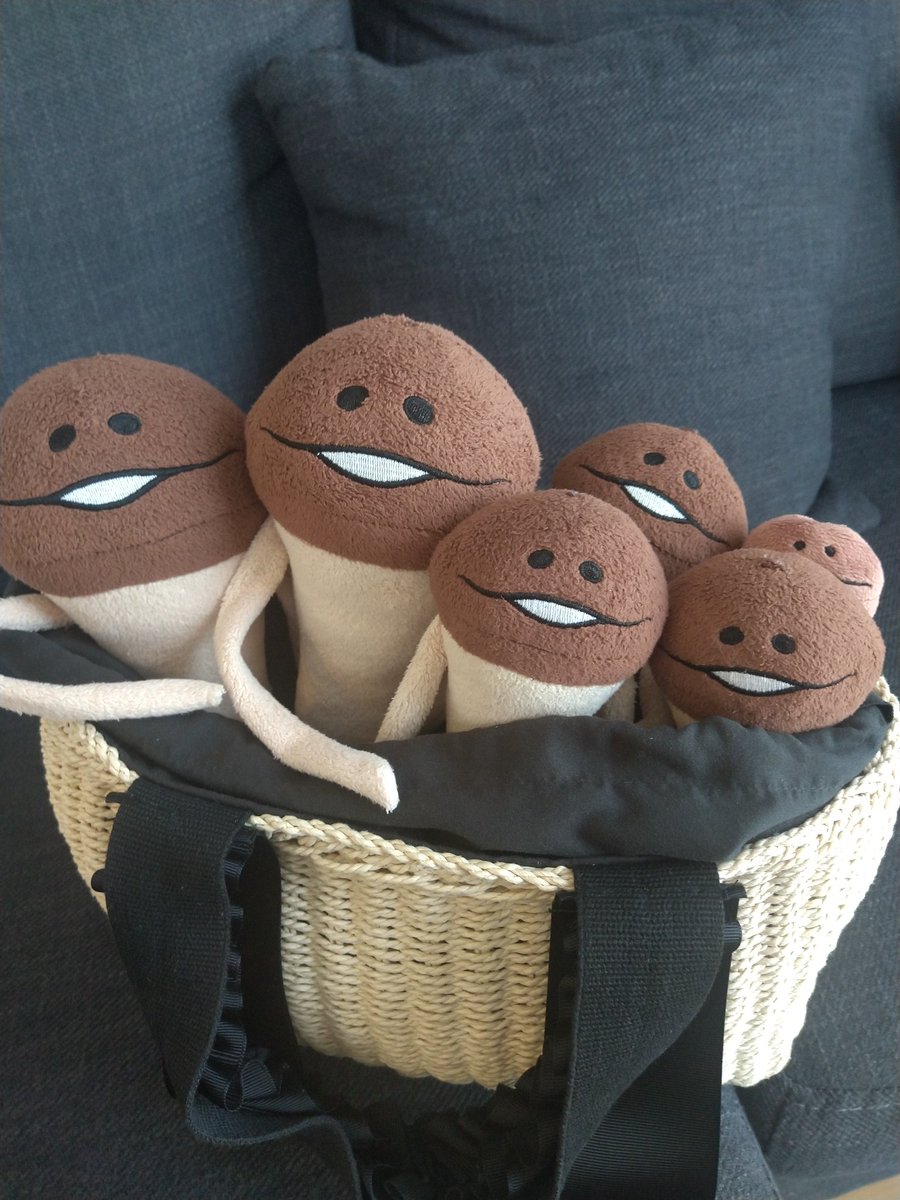 てか、気がつけば入ってる。
ついてくる気マンマンだね。