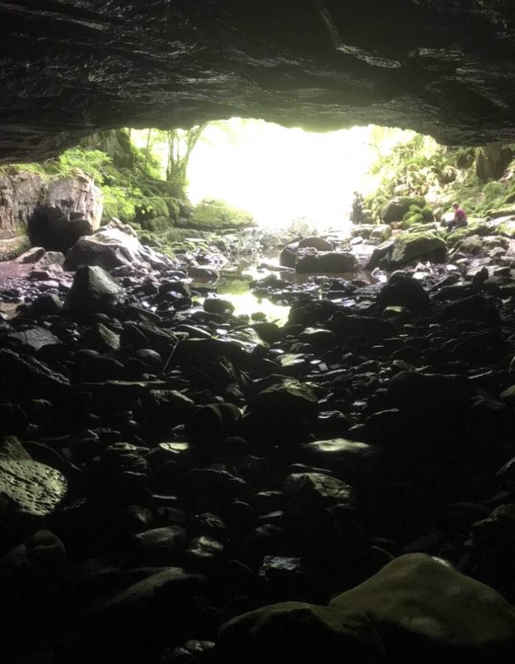 F_F_Podcast's tweet photo. Porth yr Ogof, aka Balinor’s Cave
2.5km of underground rivers - including the river Mellte - dry passages, pools, and sumps (submerged passages).
1/2
#Walse #WelshHiatus
#Merlin https://t.co/engADWX0Bo