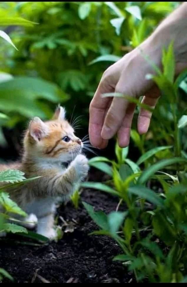 mastercraft_man's tweet image. اگر آپ فطرت سے محبت کرتے ہیں تو ، آپ کو ہر جگہ خوبصورتی ملے گی ۔