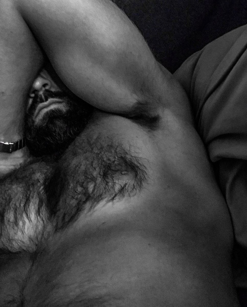 PrimeOfAlphas's tweet image. #Alpha