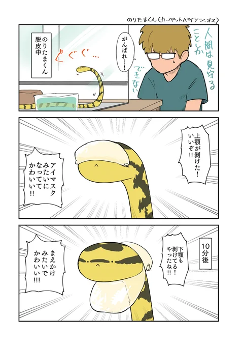 顔から剥ける 