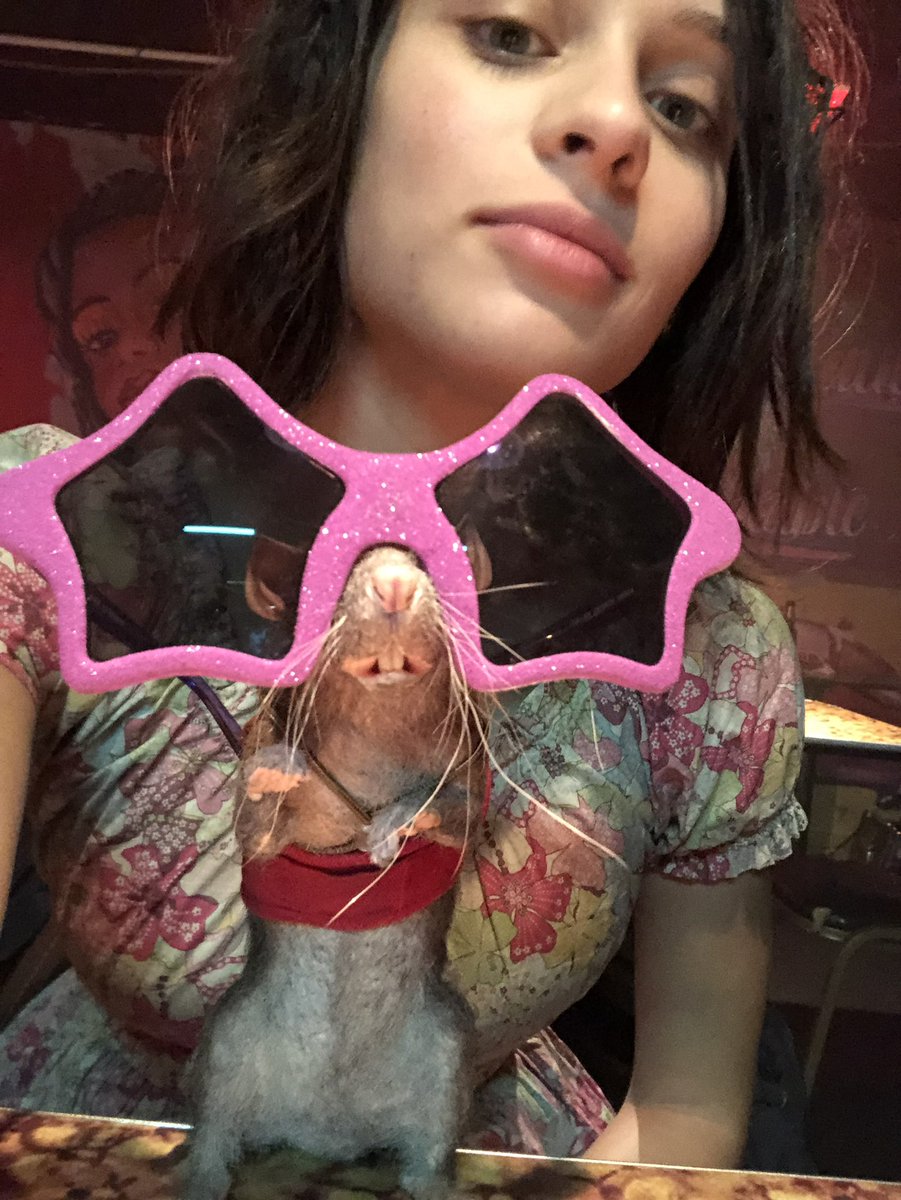 RattCatcher2's tweet image. #Ratcatcher2 

Thank you all to my #Followers
🔦🐭🐭🔦❤💋

Give a #Follow to my friends @NomNomBrute Manohae! 
@LeadsTheSquad Colonel Flag! 
@PsychoCapn Captain Boomerang! 
@VexingLilMonsta Harley! 
@PeacemakerBrute PeaceMaker! 
@ArgusFatale Agent Harcourt! 
#TheSuicideSquad