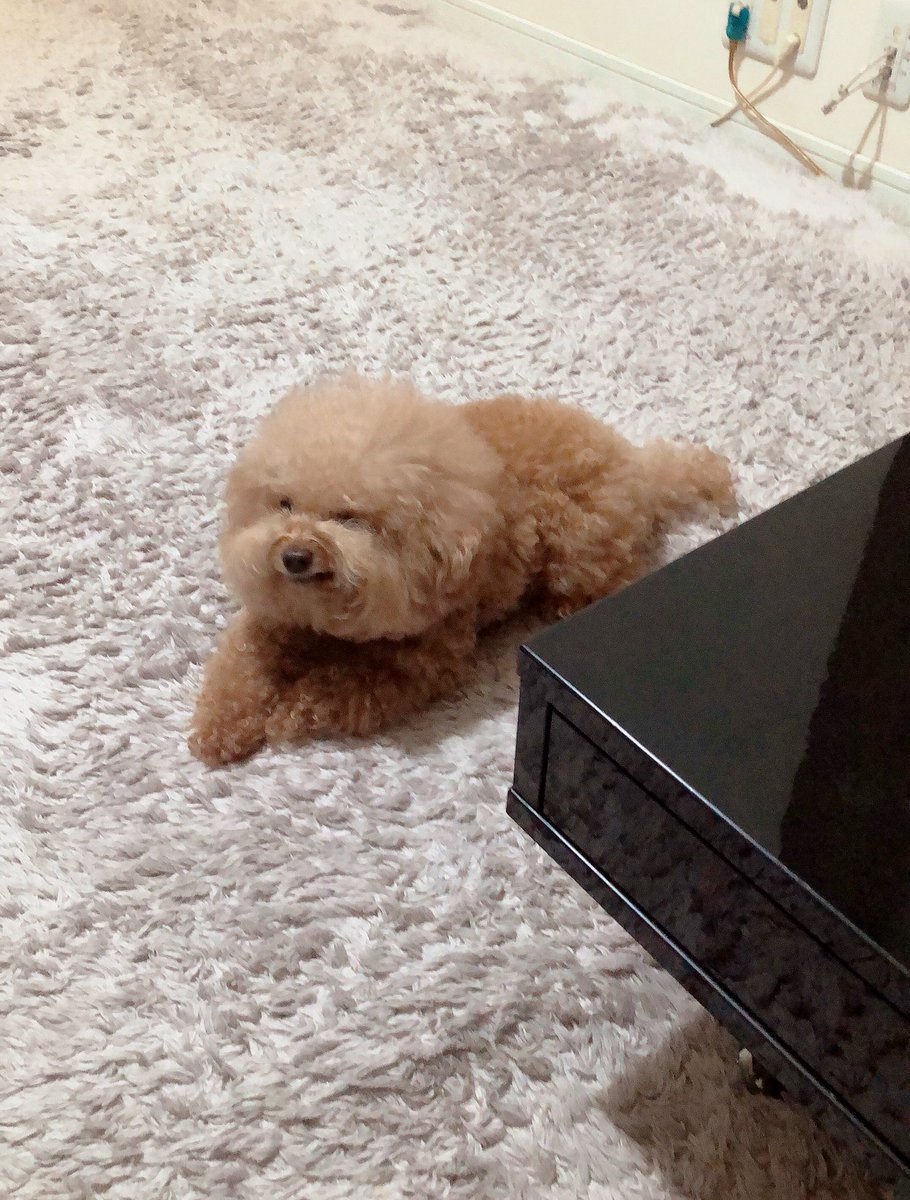 お前にサンが救えるか