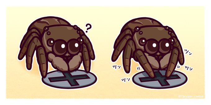 ハエトリグモのtwitterイラスト検索結果