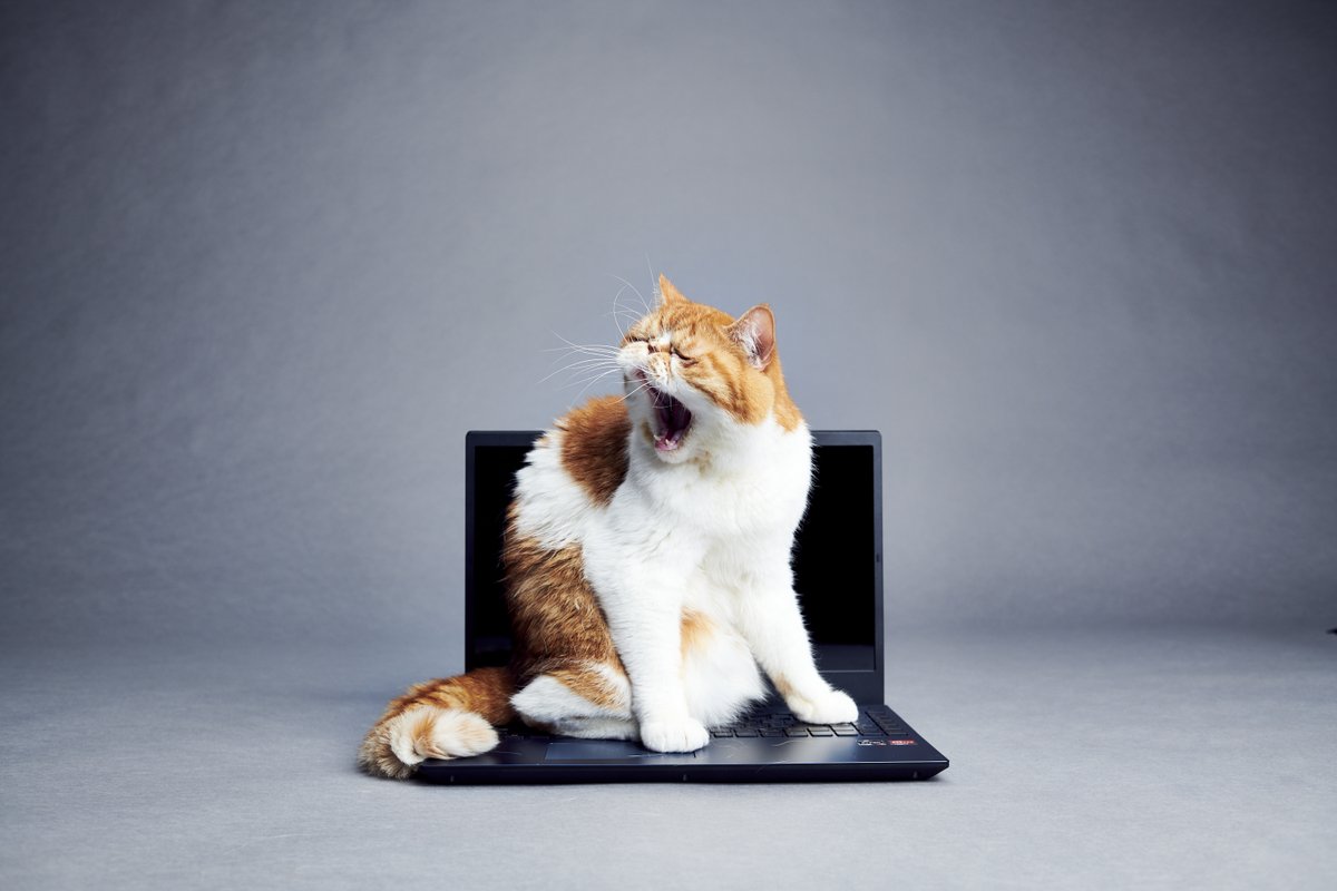 猫猫PC NEC LAVIE【公式】 on X: 