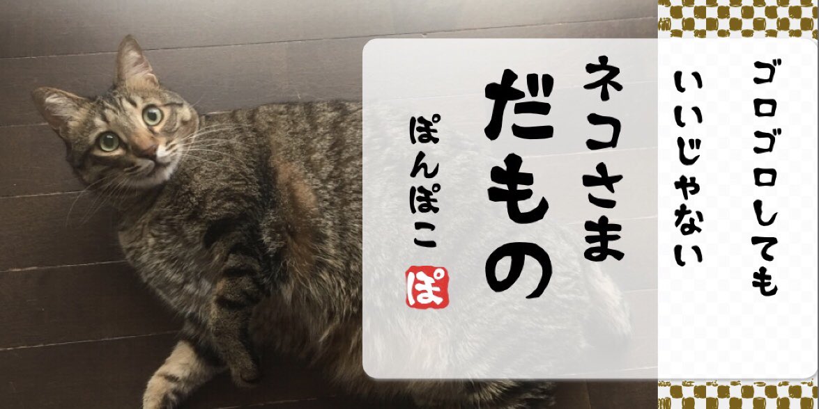 ねこさまだもの - البحث / X