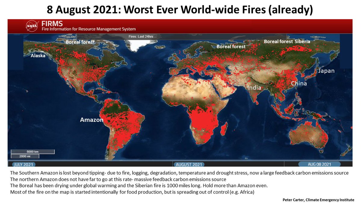 PCarterClimate's tweet photo. Worst world-wide wild fires. Burning fossil fuels is burning down the world and burning up our children's food future. Make it stop. https://t.co/PuIZNXvTZT