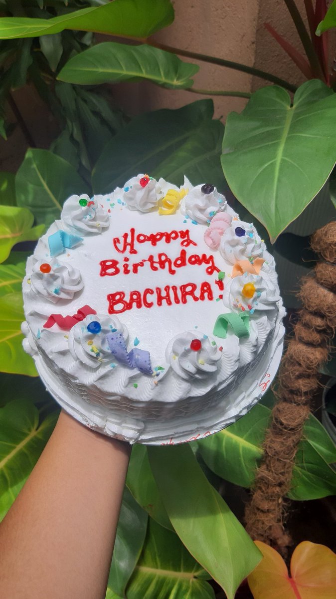 bbachiraa's tweet photo. the cake has arrived! happy birthday, bachira meguru ☺💖 https://t.co/eP75BQGz2r
