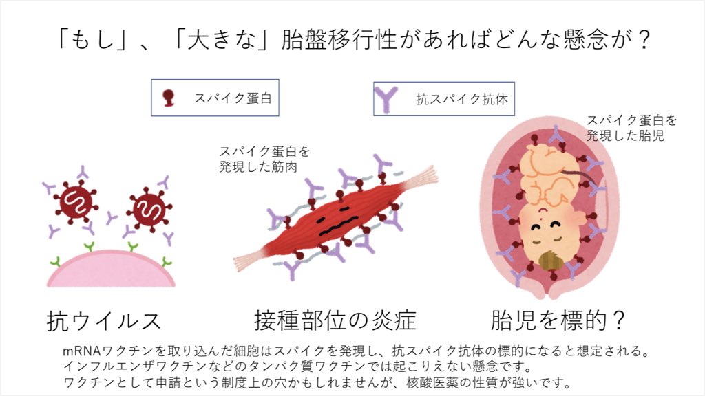تويتر トスターダ 内科医 Md Phd على تويتر 妊婦へのmrnaワクチン接種は推奨されますが ワクチンがどれだけ胎児へ移行するか という とても大事なデータが公表されていません このデータが無くて接種を悩んでいる妊婦の為にも データを求める動きが