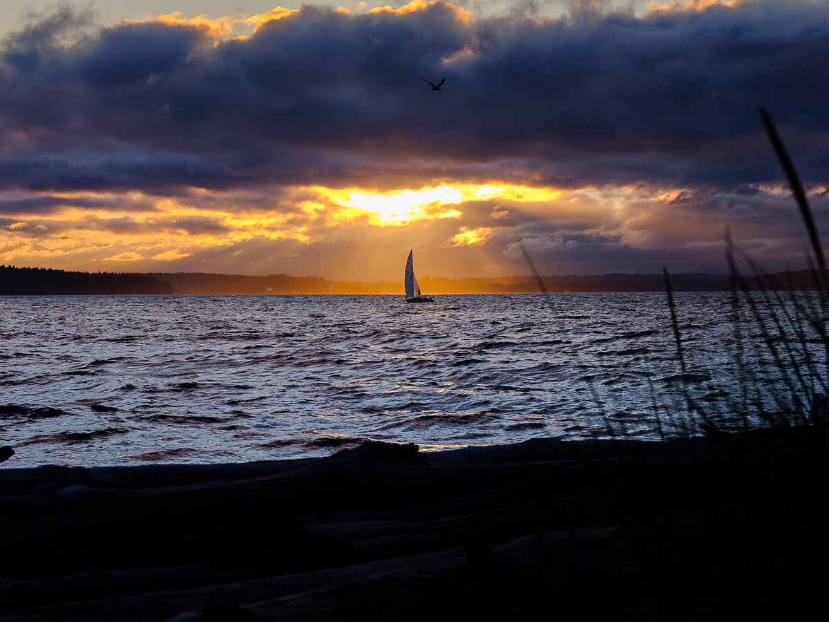 timdurkan's tweet photo. From Seattle tonight: a sudden burst of sunset was the perfect way to end the day https://t.co/l9mpJ26N5g