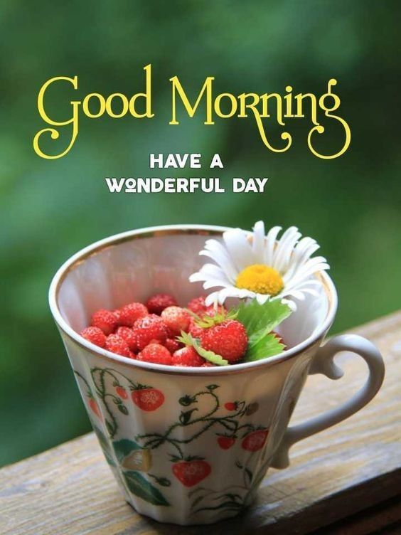 "Knowledge is always greater than Money because you have to secure the money but Knowledge will secure Yourself." - Good Morning Have a Happiest Day #GoodMorningEveryone