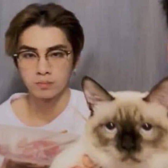 Namcin_'s tweet image. 8.8 วันเกิดเซียวจวิ้นแล้วก็เป็นวันแมวโลกด้วย