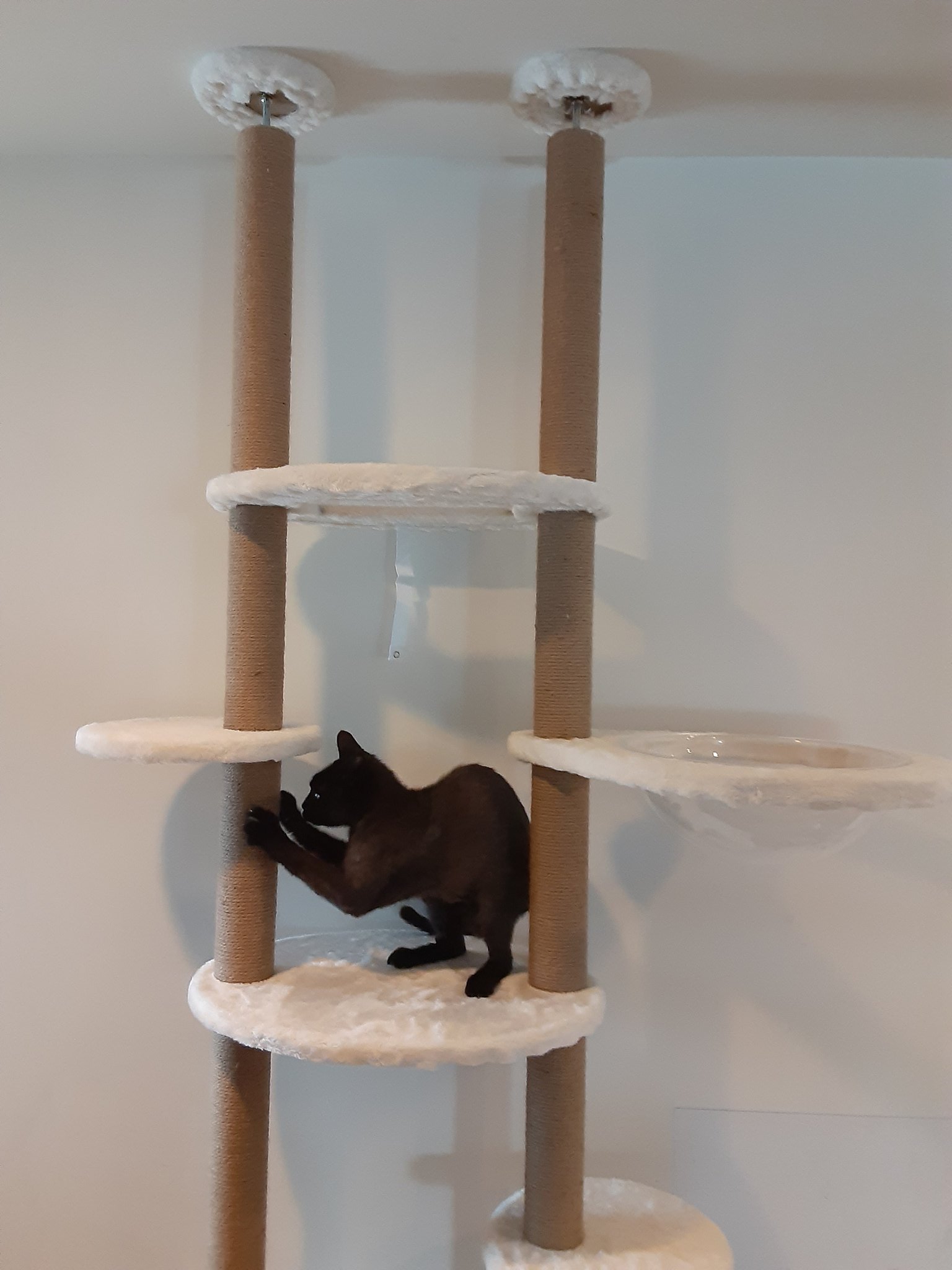 増田こうすけ T Co 0yaeu4ioba Twitter