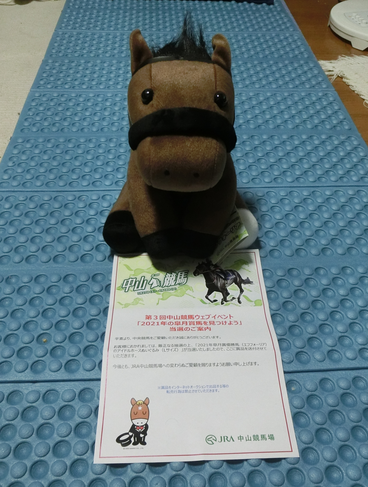 アイドルホース ジオグリフLサイズ