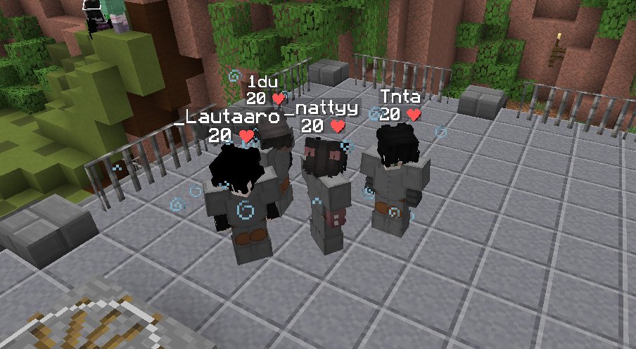 a 🇹🇹 tweet media