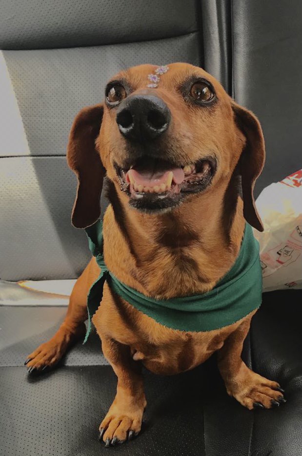 ANDRE JAYR CASAGRANDE (@andrejayr) on Twitter photo 