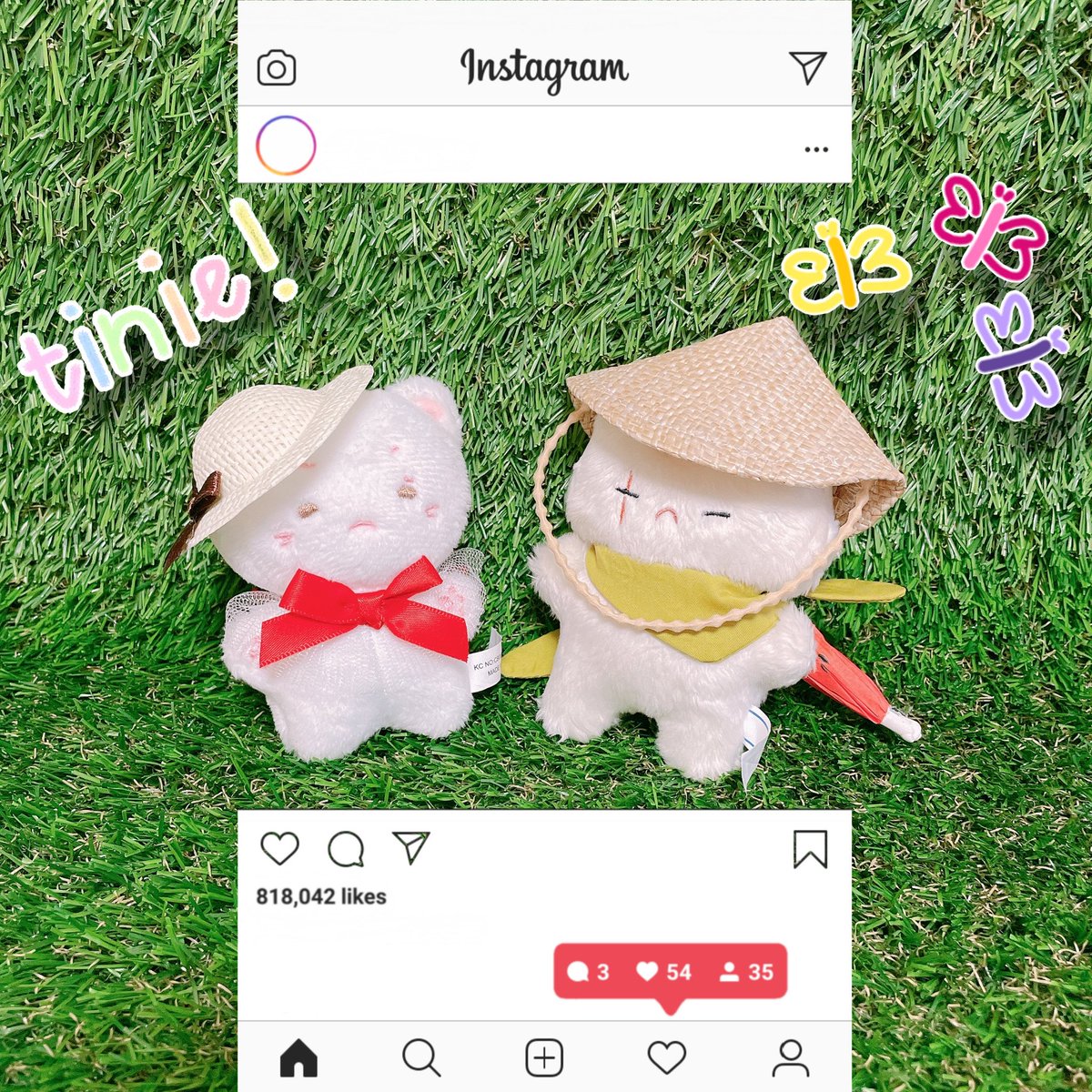 みにゃ🧸ぬい tweet media
