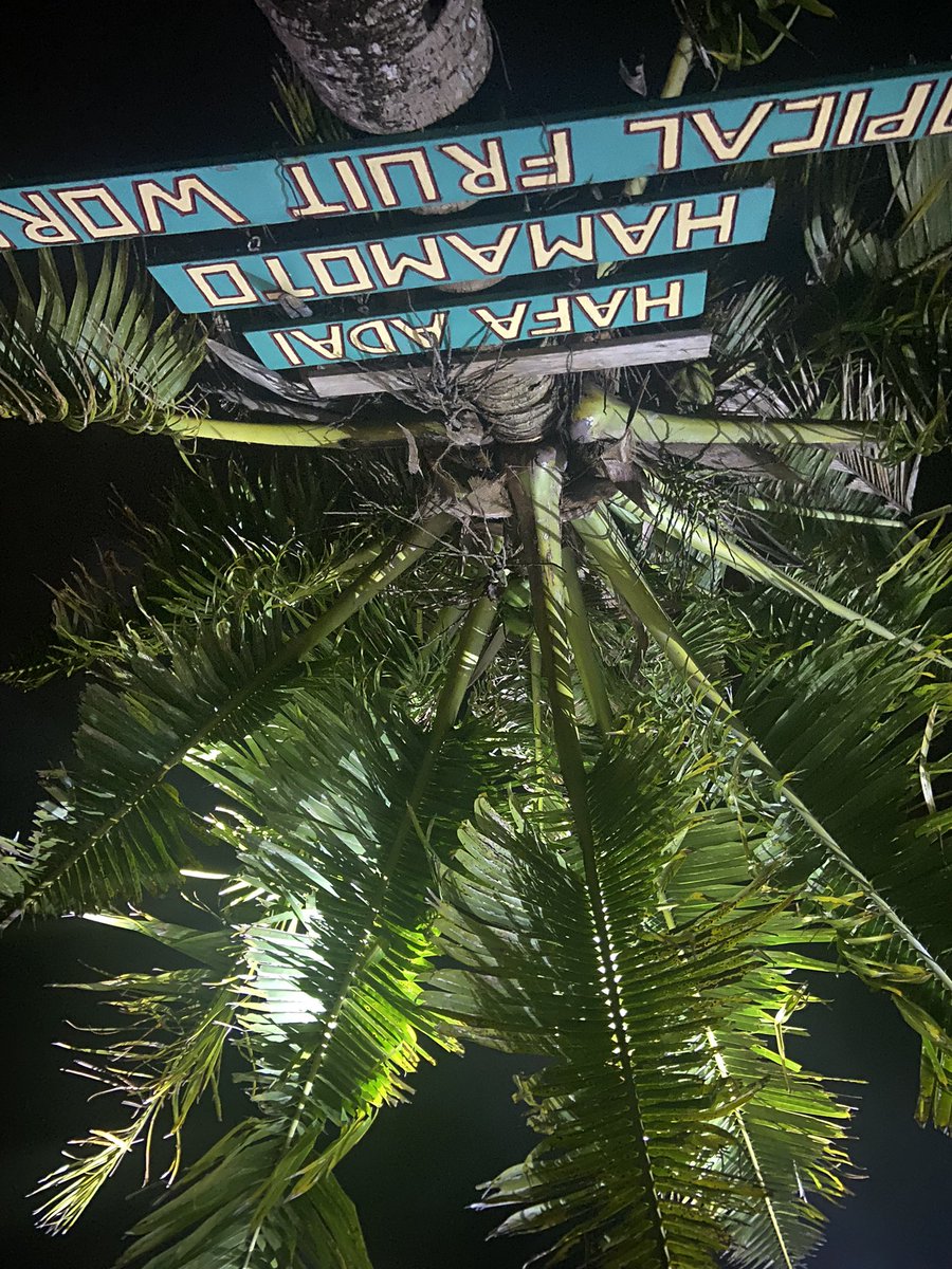 STRAIGHTUPJED's tweet photo. literally the only 2 pics I got from last night 💀 https://t.co/omymz134JX