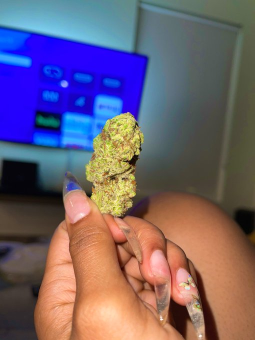 Currently 💕 https://t.co/zSAzCV0gRN