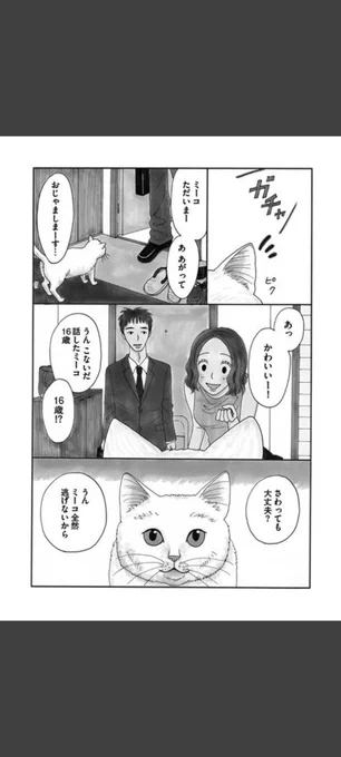 一匹の白猫と飼い主の青年の短いお話です。(1/6)

#世界ねこの日
#漫画が読めるハッシュタグ 
#冬川智子 
#ミーコ 