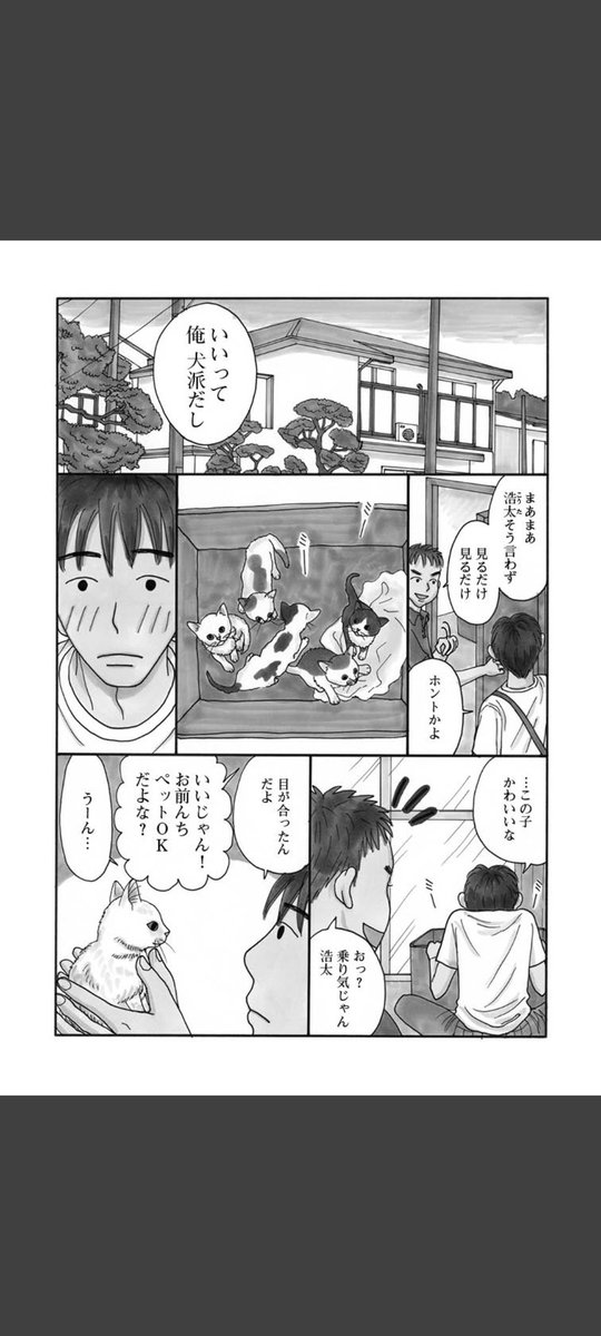 一匹の白猫と飼い主の青年の短いお話です。(1/6)
#世界ねこの日
#漫画が読めるハッシュタグ
#冬川智子
#ミーコ