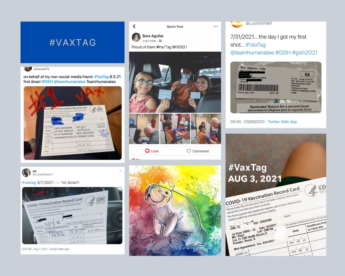 teamhumanatee's tweet photo. @teamhumanatee managed to get 7 more people vaccinated! #GISH #vaxtag https://t.co/9JD3dCUz03