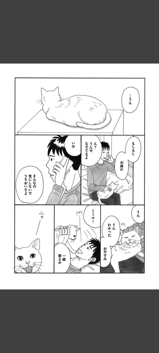 一匹の白猫と飼い主の青年の短いお話です。(5/6)

#世界ねこの日
#漫画が読めるハッシュタグ 
#冬川智子 
#ミーコ 