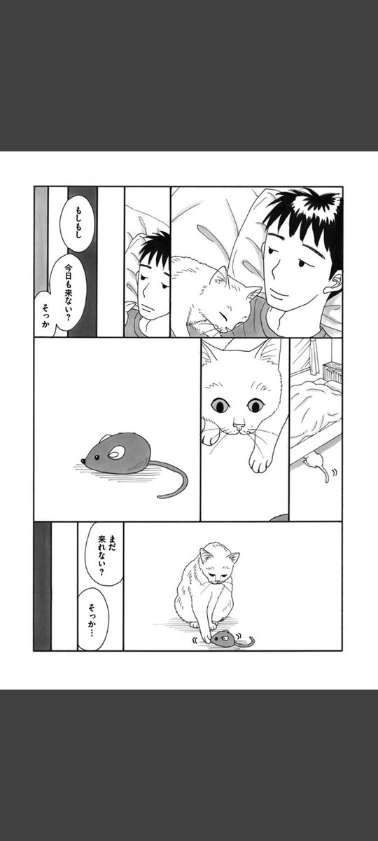 一匹の白猫と飼い主の青年の短いお話です。(5/6)

#世界ねこの日
#漫画が読めるハッシュタグ 
#冬川智子 
#ミーコ 